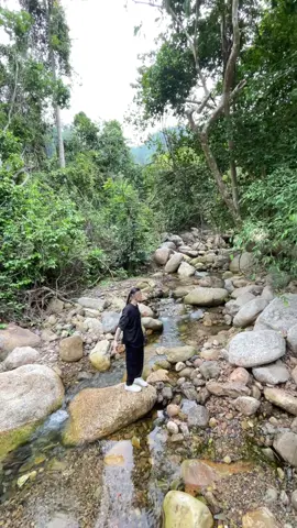 🪷🪷🪷😍#yentusuoinguontuegiac 