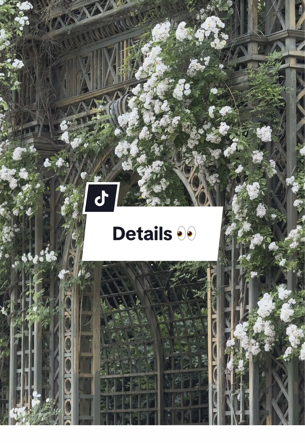 🤩✨ Prendre le temps… la perfection réside dans les détails. Et si vous veniez les admirer lors des Grandes Eaux Musicales ? #chateaudeversailles #fontaines #tiktoktravel #versailles 