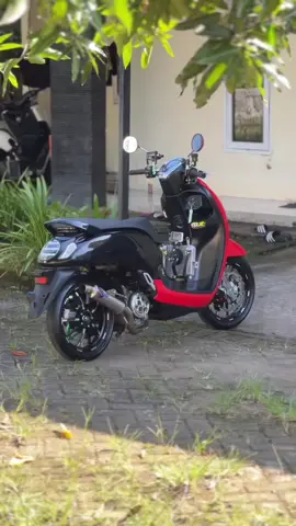 🫴🏻🫴🏻🫴🏻 #fyppppppppppppppppppppppp #fyp #scoopymodifikasi #scoopy2021 #trend #scoopyindonesia 