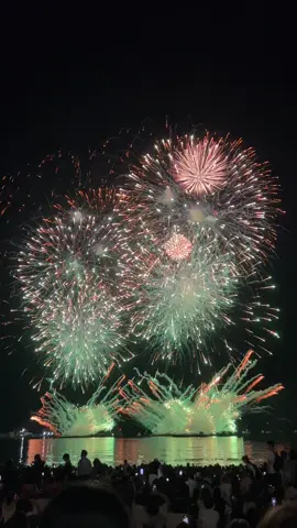Zushi Fireworks Festival 2025 #japanfireworks #逗子海岸花火大会 #日本花火 #花火2025 