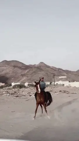 #اكسبلور #سعب_اهل_نجران_ععععاشووو👏🏻👏🏻 #اكسبلورexplore #خيل_وخياله🐎 