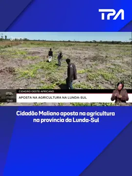 Cidadão Maliano aposta na agricultura na província da Lunda-Sul