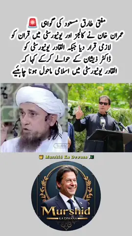 #jadoonbrotherspti #viral #foryou #murshidkadewana #pti_zindabad #ptiofficial #imrankhanpti #karachi 