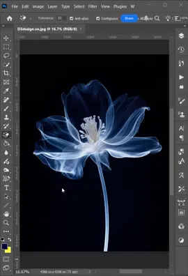 Remove transparent subject backgrounds in Adobe Photoshop #d3design #designtools #photoshoptricks #photoshopskills #photoshoptutorial #photoshoptips #photoshop 