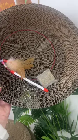 Có mua là có tặng nha mấy bà , giá rẻ bèo mèo cào móng siêu đã tay , giảm stress cực tốt còn kim luôn ổ nằm , tik tok shop freeship tận giường , tranh thủ nha mấy bà ui #xuhuong #meogiamstress #dochoichomeo #bancaomong #landaunuoimeo 