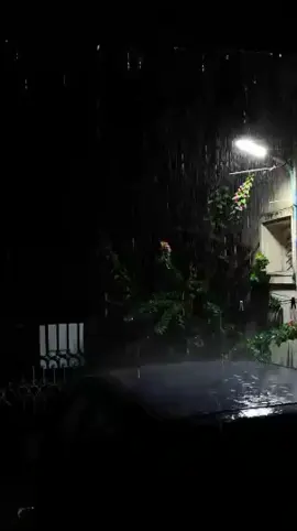 যুগের পর যুগ কেটে যাবে কিন্তু বুকের বাম পাশে তুমি রয়ে যাবে,,,🫀🫶🌺 ##trending  ###fyp ##fyp ##foryoupage  ##foryou ## ##foryou ##treandingsong 