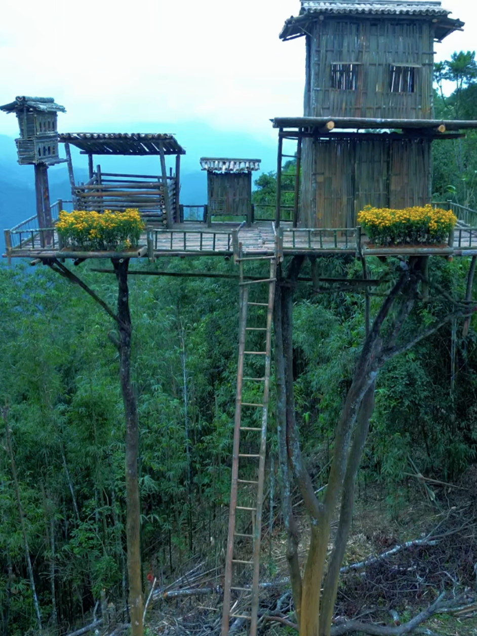 How we build a natural and warm shelter #camping #survival #bushcraft #2025 