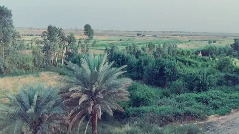 #شريعه موطني_✌️❤️❤️ 
