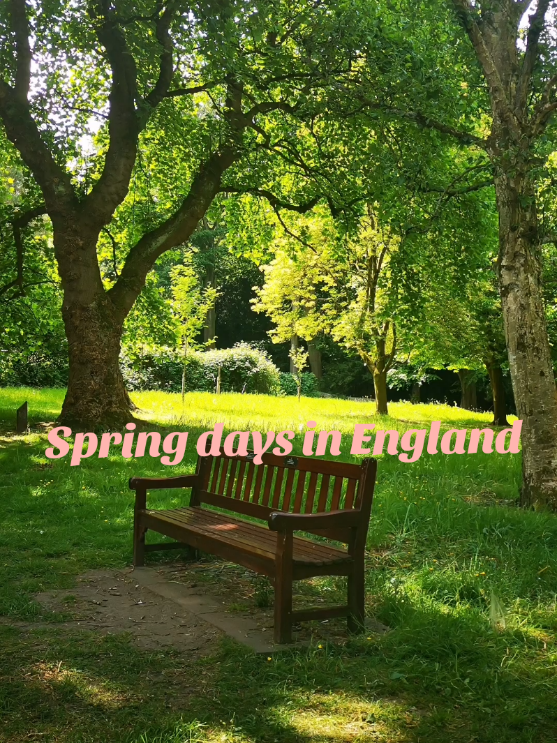🌸Such a beautiful day in this spring🌸 #fyp #foryoupage #slowliving #simplelife #england #photo #photography #video #tiktok #calm #aesthetics #mindfulness #naturetherapy #nature #naturelovers #slowliving#wellbeing 