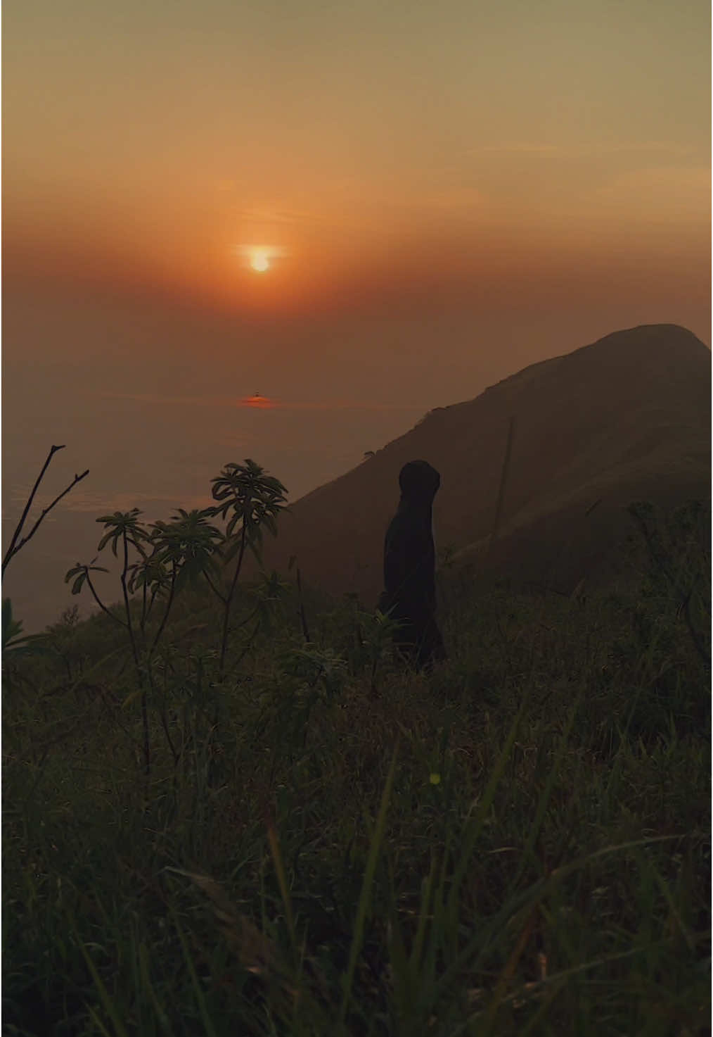 No words  #travel #vibes #friends #nature #sunrise #feel #peace #cinematic #naturevibes #calm 