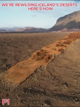 #knowledge #Science #explore #discovery #explain 