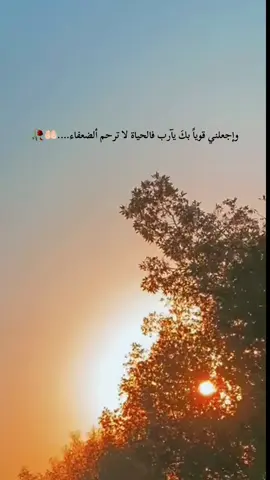 يارب 😔🥀 #يارب 