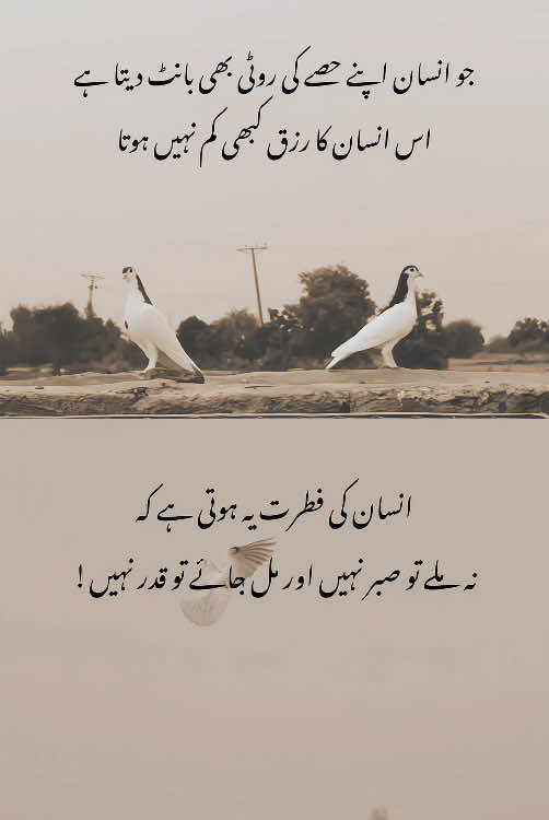 Aho 🙌🏻📝#who_shujat #foryou #foryoupage #viral #fyp 