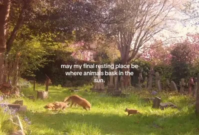 #relatable #animals #qoutes 