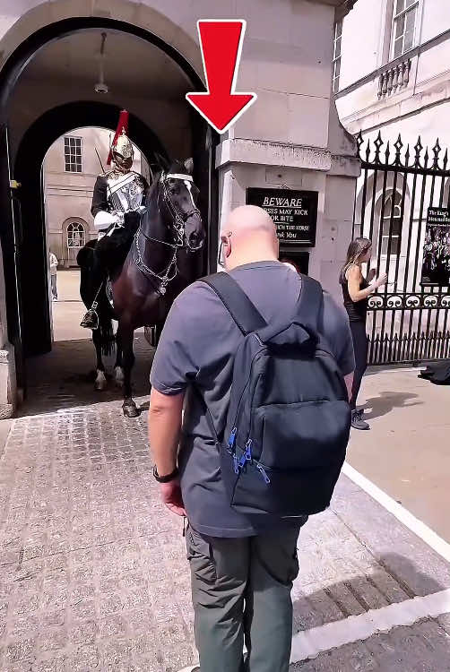 Recspect 😍 #kingsguard #king #guard #horse #respect #fyp 