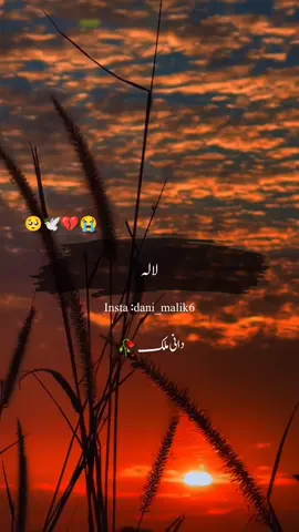 تعلق ملاقات کا نہیں وفا کا ہوتا ہے#fyp #foryou #danimalik6 #standwithkashmir #viral #fyp 