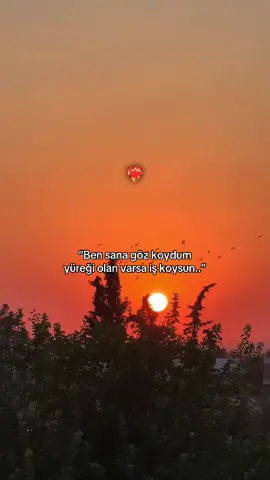 “Yüreği Olan Varsa İş Koysun..”❤️‍🔥#storylikvideolar📌 #story #aşkım #duygusalvideolar #anlamlıvideolar #duygusalşarkılar #aşkıngücü #sevgilim #keşfetbeniöneçıkarttt #illegalsözler #keşfetteyizz #fyp #story_sayfasi1 