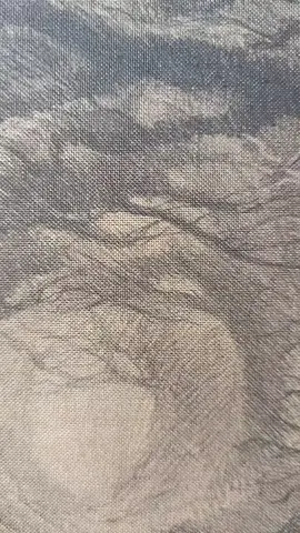 Mythago Wood by Robert Holdstock, by way of @The Folio Society .  #books #BookTok #foliosociety #fantasy 