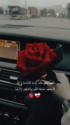 #الحمدلله_دائماً_وابداً #في هذا اليوم #تصميم_فيديوهات🎶🎤🎬 #اللهم_صلي_على_نبينا_محمد #ترند_تيك_توك #الشعب_الصيني_ماله_حل😂😂 