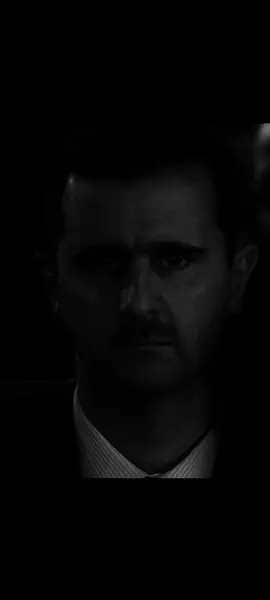 My dreams be like: #assad #syria #propaganda #lebanon #bashar_alassad #hafezalassad #fyp #meme #civilwar #surya #tt 