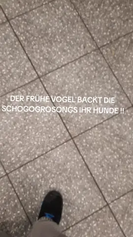 #schokocroissant #frühevogel #gehviral #fyp #blowthisupforme #influncerera #sigmagrindset #lebron 