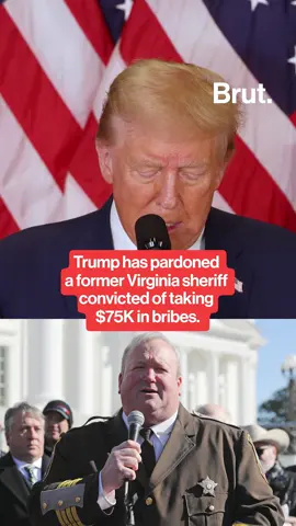Trump has pardoned a former Virginia sheriff convicted of taking $75K in bribes. But what exactly is a presidential pardon? And how do they work? #PresidentialPardons #Trump #Pardon