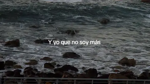 #silvanaestrada 