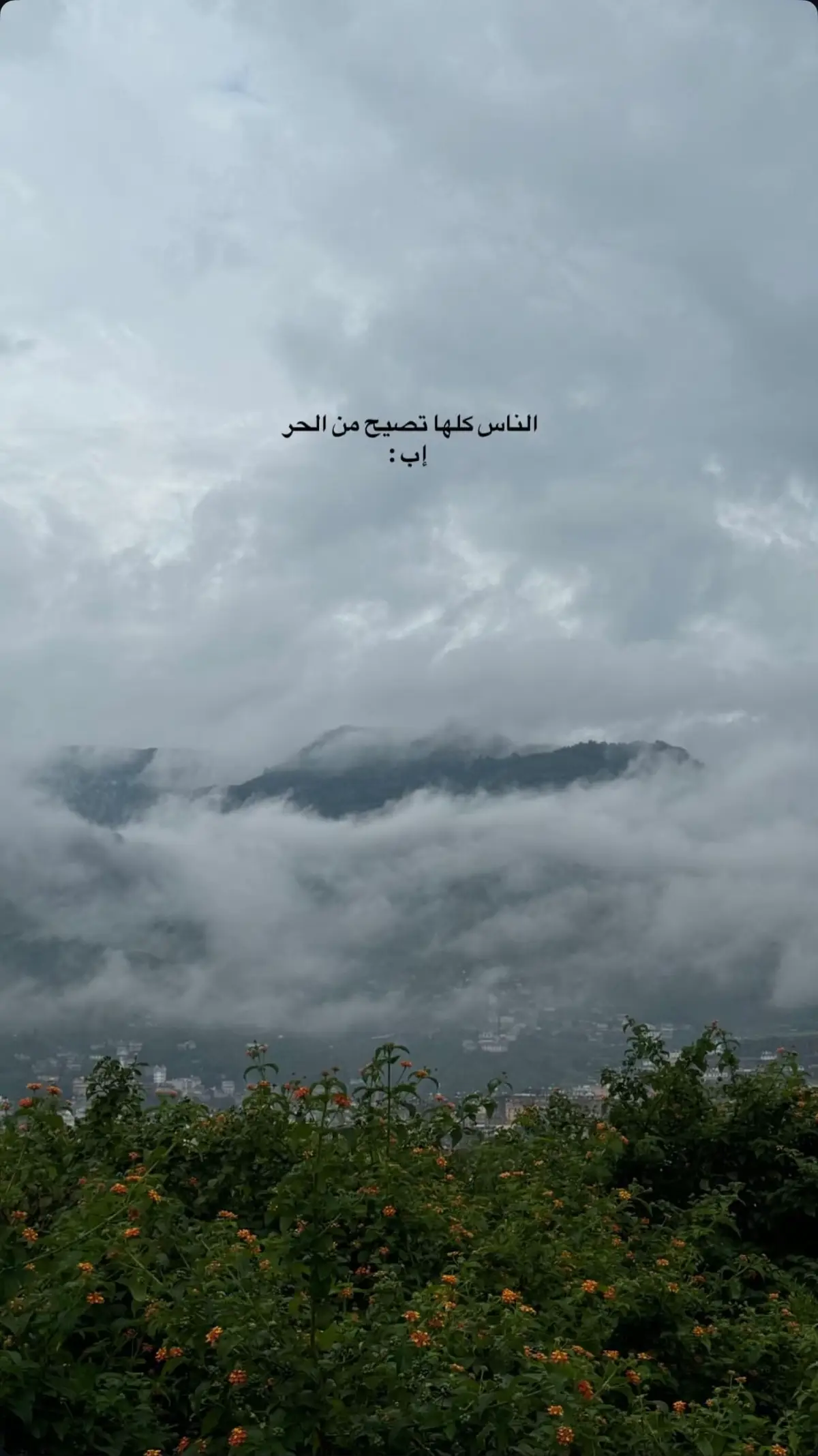 #إب #بعدان_الشعر #اليمن 