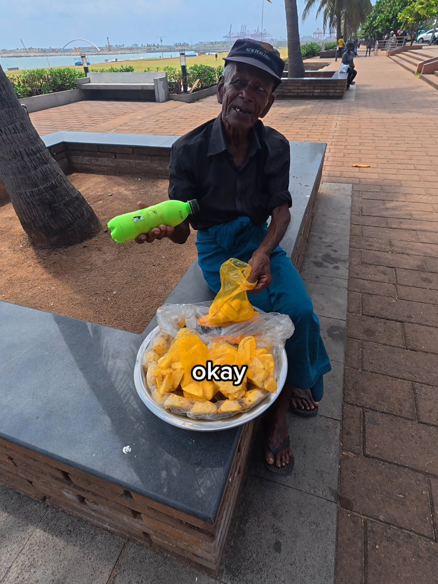 $0.60 fruit in Sri Lanka 🇱🇰 #hughabroad #streetfood