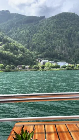 #خيل_وخياله🐎 #والسفر✈ #للصيف #سعاده_دائمه_اتمناها_لكم #خيل_عربي_اصيل #عزف_عود #ترن #سويسرا🇨🇭ترند #النمسا_فيينا # اشرلي #بالمنديل#ترن 