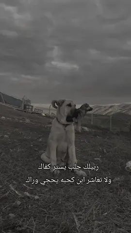 ربيلك جلب يستر كفاك  ولا تعاشر ابن كحبه يحجي وراك#متابعه_ولايك_واكسبلور_احبكم #ذافويس_كيدز 