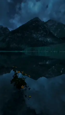 ورزق الله عز وجل #الشيخ_احمد_الوائلي  #ورزق_الله #allah  #اكسبلورexplore 