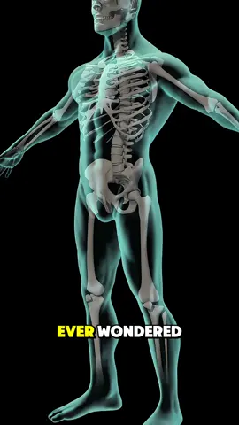 Total hip replacement surgery #surgery #hipreplacementrecovery #hipreplacementsuccess #hipreplacementsurgery #totalhi #totalhipreplacement #totalhipreplacementsurgery #totalhiparthroplasty 