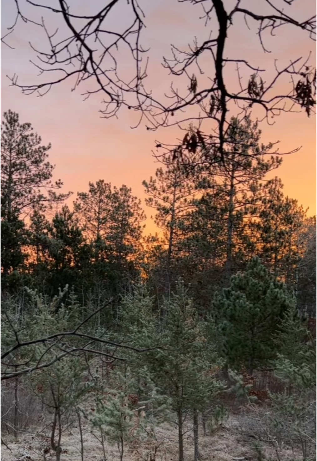 Rip Phil Robertson! Hunting and fishing is a lifestyle that he represented perfectly! #Hunting #Hunter #Outdoors #Huntin #HuntersOfTiktok #DuckHunting #DeerHunting #TurkeyHunting #Ducks #Outdoorsman #Country #God #GodIsGood #Sunrise #Sunset