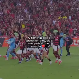 🥺❤️‍🩹#flamengo #edit #timedocoração #foryoupage #viralizar 