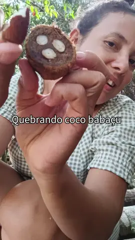 coco babaçu. comemos com farinha. uma delícia. #curiosidades #dicas #comida #rotina 