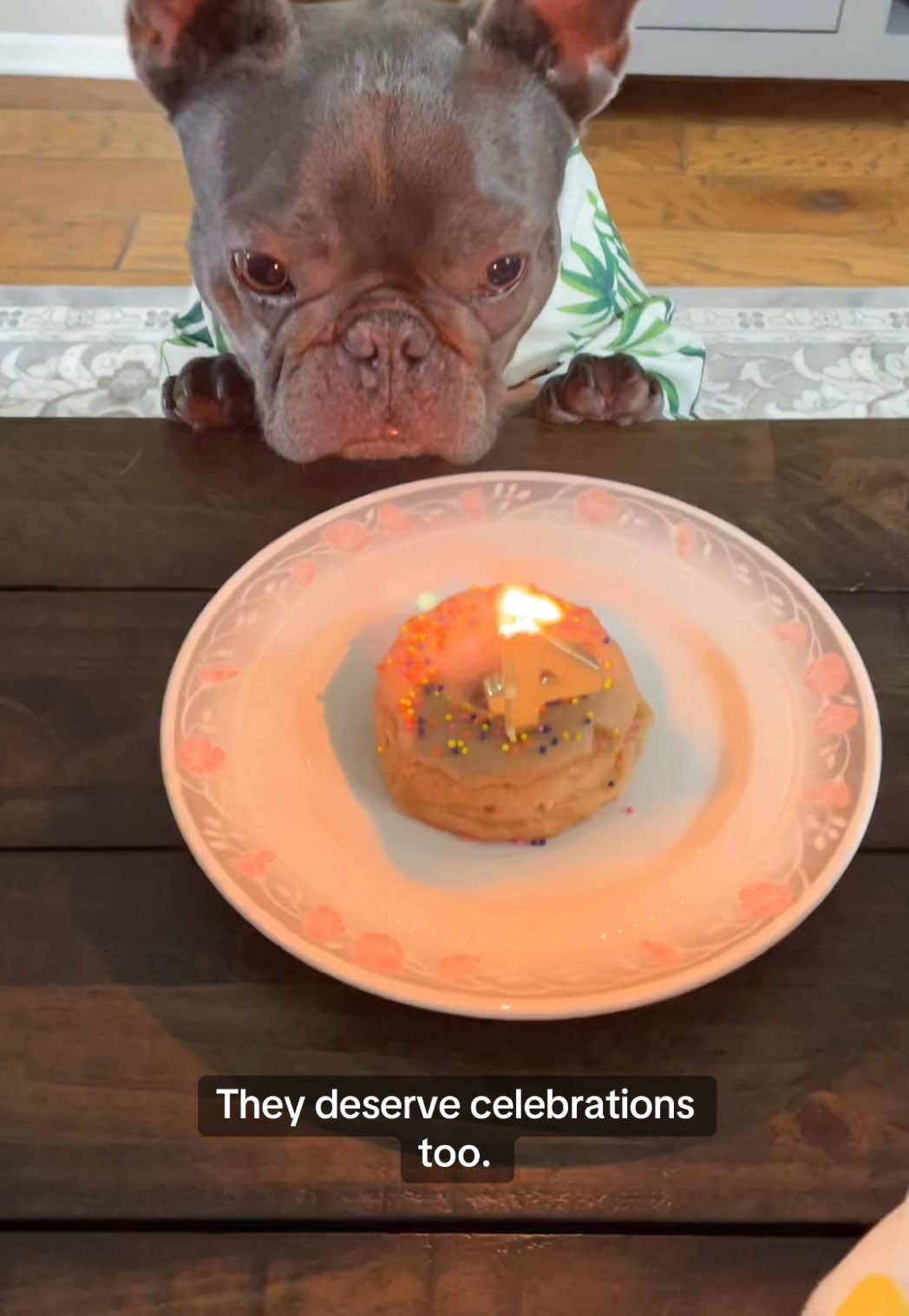 Happy birthday to my best friend #frenchbulldog #frenchie #birthday 
