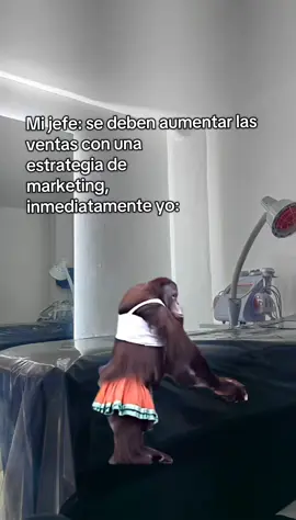 #Meme #MemeCut #CapCut #masajistaprofesional 