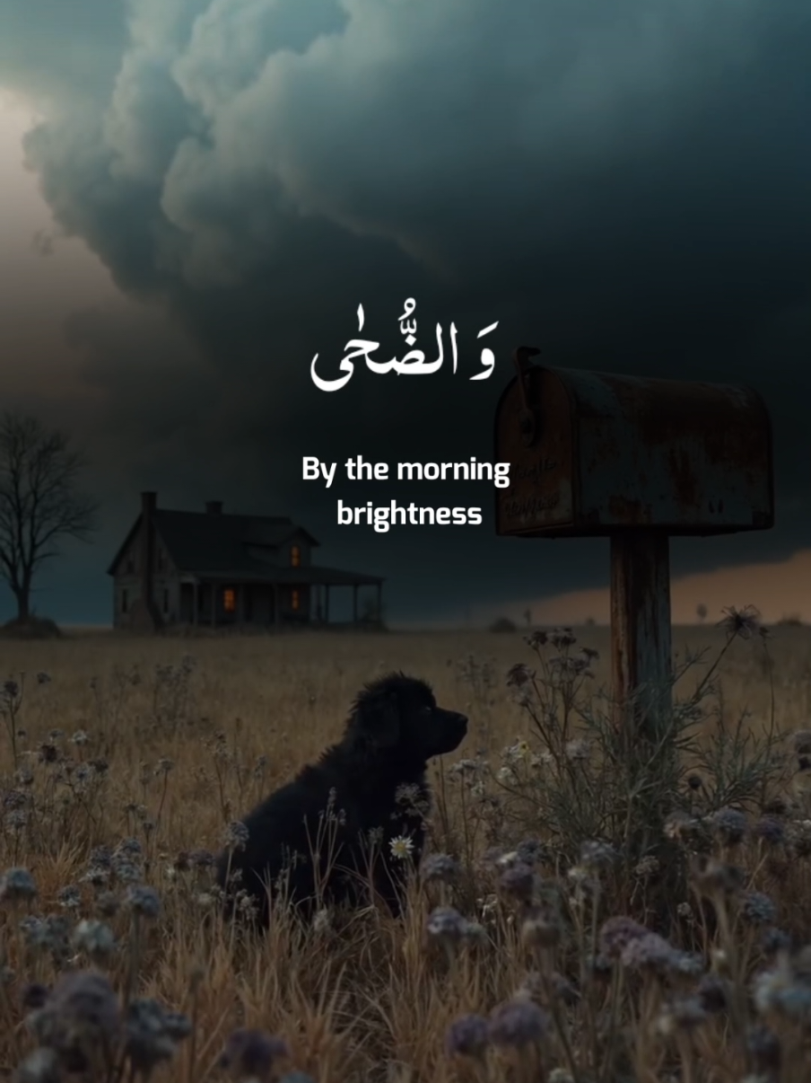Surah Al duha 🤍🍁 #quran #tilawat #قران #تلاوات #uktiktok #foryoupage #ridjaalahmed #unfrezzmyaccount @Holy Quran 🎧 