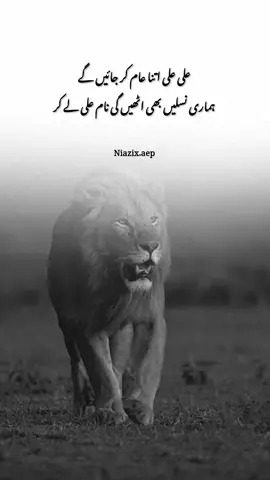 Ya Ali a.s ⚜️🚩 #Allah #hazrat_muhammad_s_a_w_w #shabakagulam #ahlybait🚩 #haq4yar #allahuakbar #khan @𓆩𝑺𝒉𝒂𝒏𝒊𓆪 