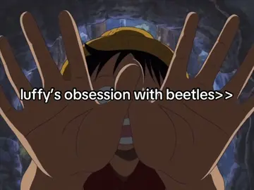 Luffy’s obsession with beetles (like hercules beetles and stag beetles) perfectly matches his character for many reasons; It matches his childlike wonder and curiosity, luffy is really childlike at heart. His excitement over simple things, like meat, treasure, or strange animals, it reflects a pure, uninhibited joy. Beetles, especially big, armored ones, are the kind of thing that fascinate kids. His love for them just shows how much he enjoys the little things in life. It matches his love for strength and battles, beetles are strong insects, many species can lift many times their body weight and are known for their fighting abilities, especially in sumo-like beetle battles in Japan. Luffy, who loves to fight strong opponents and values strength, naturally gravitates toward beetles because they mirror that brute force in a fun package.  It matches his connection to adventure, luffy thrives in the outdoors, sailing, exploring islands, etc. Beetles are part of that world. Catching bugs, especially on a new island, plays into his adventurous nature and his desire to explore everything around him. It also reflects the Japanese roots, bug catching is a very popular pastime among Japanese children. Oda likely included Luffy’s love of beetles as a cultural nod, he represents a free-spirited kid on an endless adventure. I absolutely LOVE Luffy’s interest with beetles, it’s definitely one of my favorite traits about him. #fyp #fypシ #fypシ゚viral #monkeydluffy #monkeydluffy👑 #luffy #luffyonepiece #onepieceluffy #iloveluffy #iloveluffysomuch #beetles #viral  —- @zeynep @⊹ ࣪ ˖ Luffy ദ്ദി(˵ •̀ ᴗ - ˵) ✧ @#1 LUFFY FAN FOREVER 😳😳‼️ @꒰🫐꒱﹒ 𝐋𝐮𝐟𝐟𝐲𝐬 𝐰𝐢𝐟𝐞 ﹒⟢ @SR 🥞💫  ◄𓆩CHROMAKOPIA𓆪► @kay☆ @{^Sc@rlett^} @michael @alina ✮⋆˙ @⊹︎🤍𝐴𝑆𝐴𝑀𝐼💤⊹︎ @🍖👒Lili🍉🇵🇸 @4MiA @di @diffi⋆🕷⋆ @𝓔𝓵𝔂𝓼𝓲𝓪🍞 @Luffy's favv gf 🫶🏻 @Lunar ✮ @Lynn!!★ @rita ﾟ•. @rukia ❦ @strawhat @suki . beel lover ! 