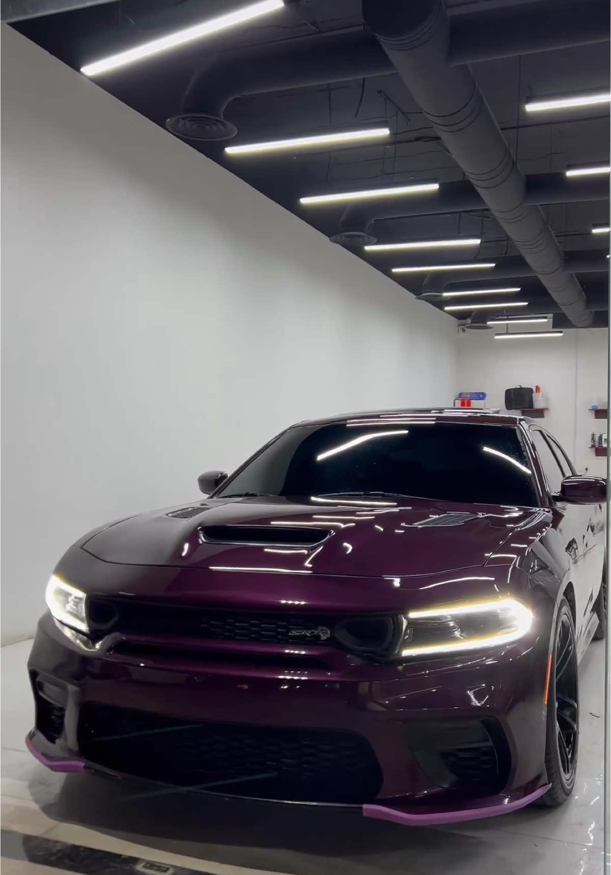 ماشاءالله تبارك الرحمن🐈‍⬛💜 #تشارجر #هلكات #سوبر #charger #الرياض #دودج 