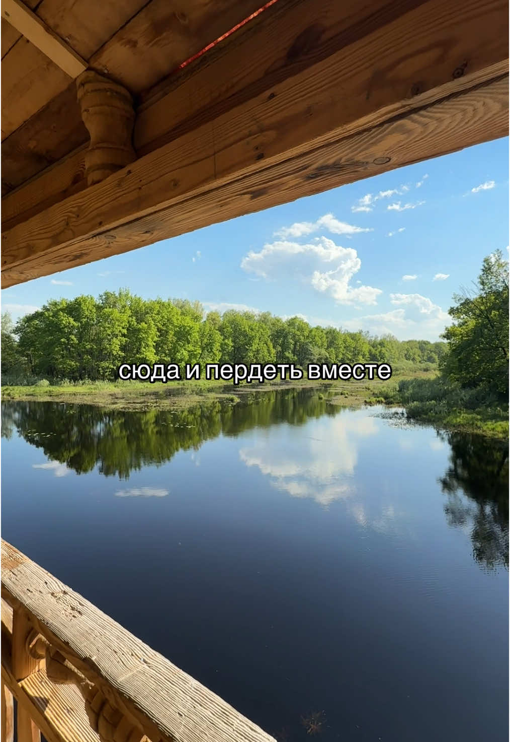 что за имба? Это Крутояк! тгк: ДИСКО КЛУБ #природа 