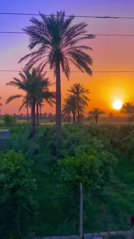 كلمن صديقه وياه چاكلبي ماله ❤️‍🩹#عباراتكم #قتباسات #الفديو_موجود_بقناتي_تلكرام_بلبايو🦋💘 