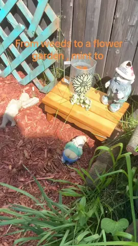 #flowergarden #garden #flowers #alotofwork #itry #fyp#fy#fyp;)