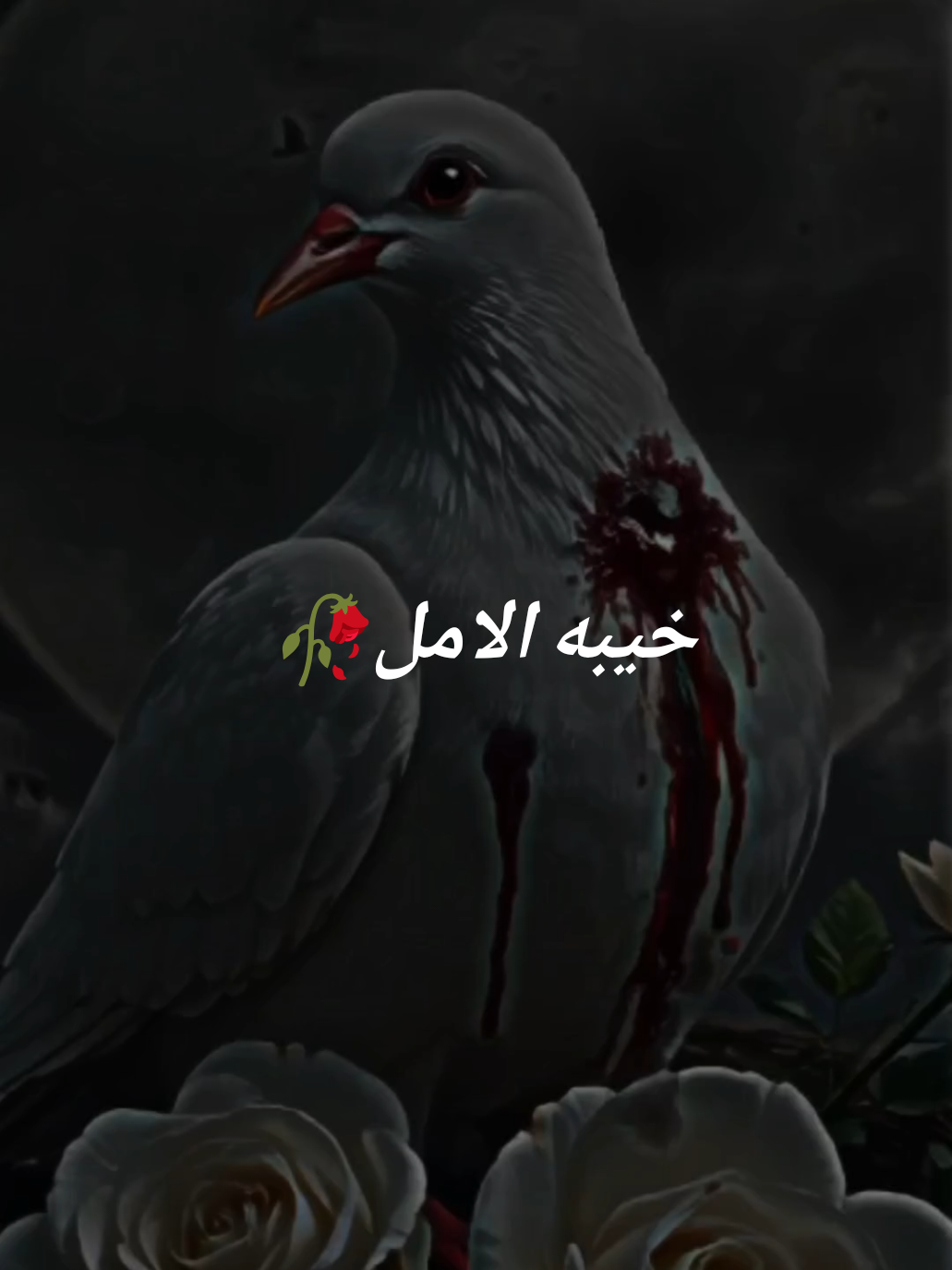 تعلمت أن اكون انا الجدار  #ابراهيم_شيخاني 