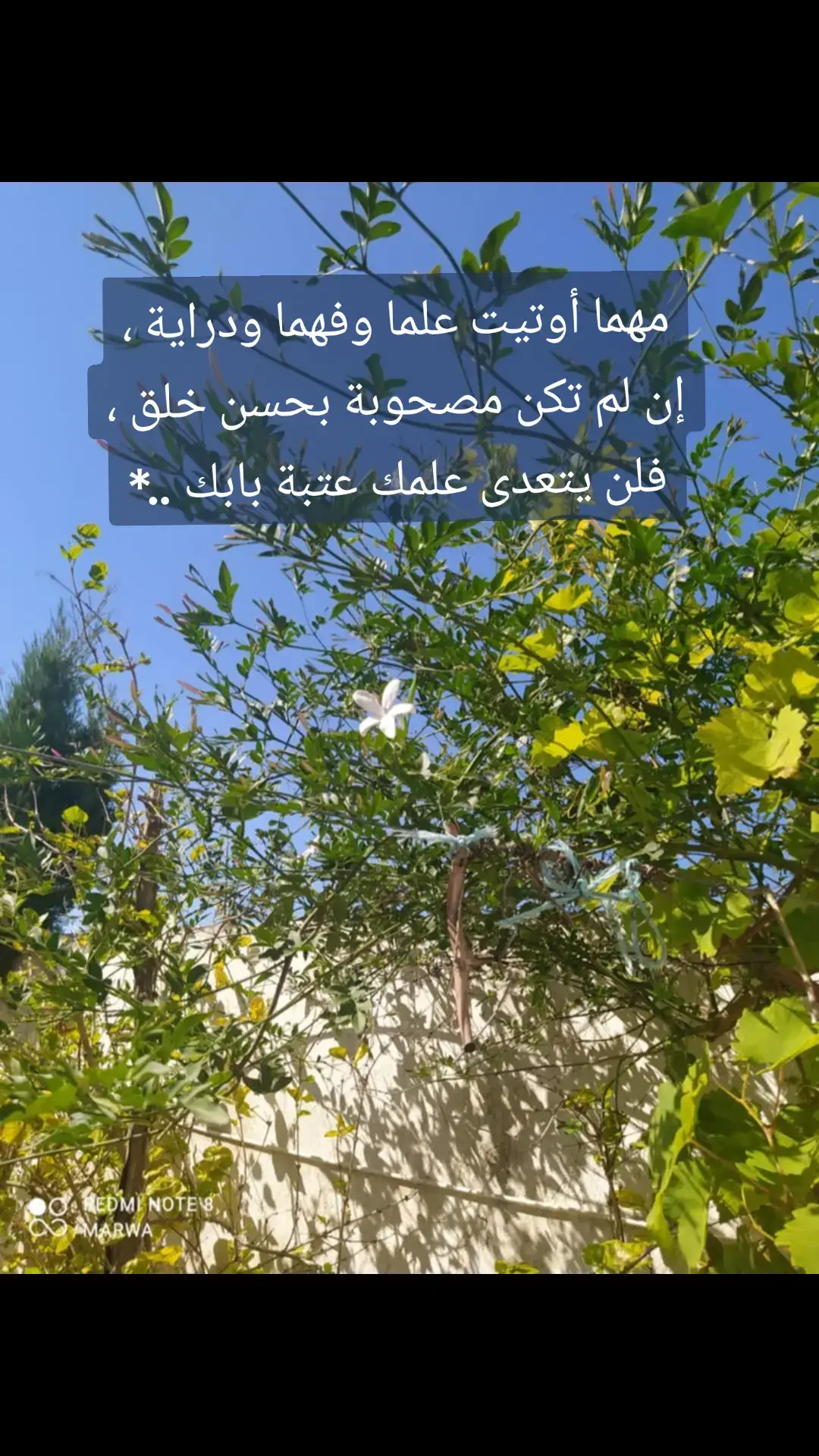 #القدس_لنا🇵🇸🕌 #لا_راحة_إلا_في_الجنة #و_المستغفرين_بالأسحار #مواعظ_مؤثرة 