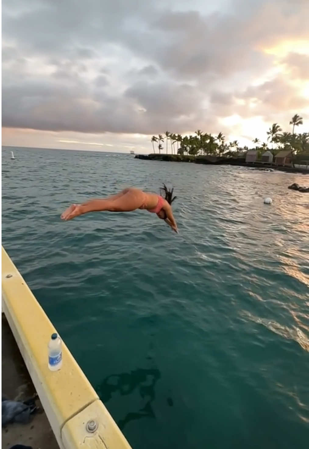 Wrestled a shark shortly after this #truestory 