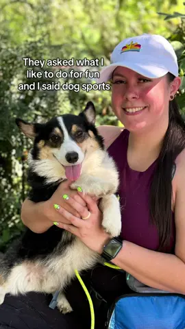 Holllllyyyyy #airball  #maslowthetrickcorgi #tiktokpartner #xoloitzcuintle #xoloitzcuintli #DogTraining #dogtrainer #dogsoftiktok #corgisoftiktok #poodlesoftiktok 