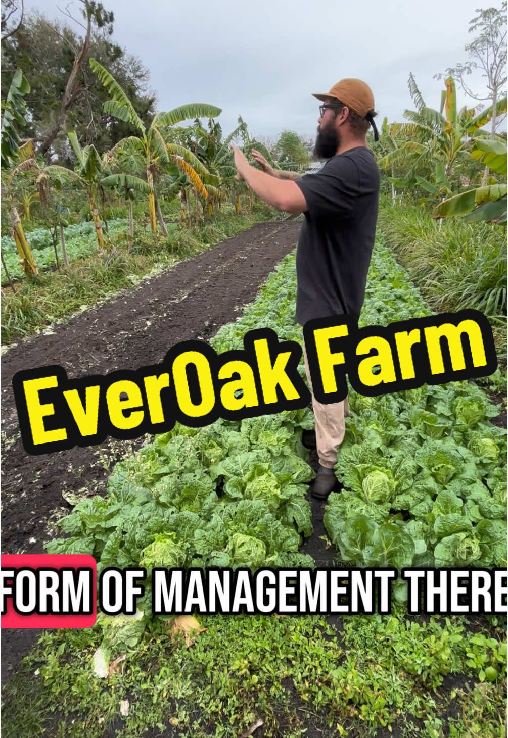 Everoak Farm #garden #farmtour #farmtotable #centralflorida #orlando #andrethefarmer #foryoupage #fyp 